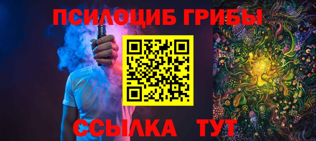 Галлюциногенные грибы Psilocybe  Вход с VPN  Луховицы 